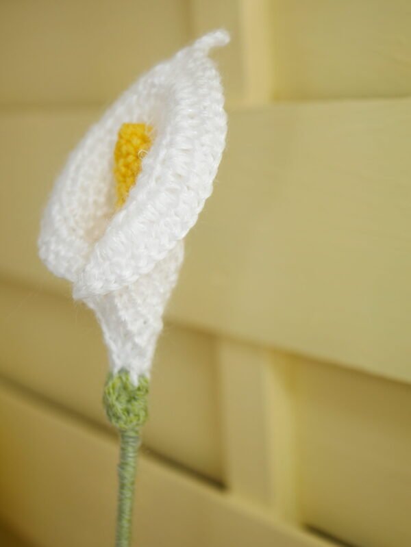 Bouquet Douceur pastel