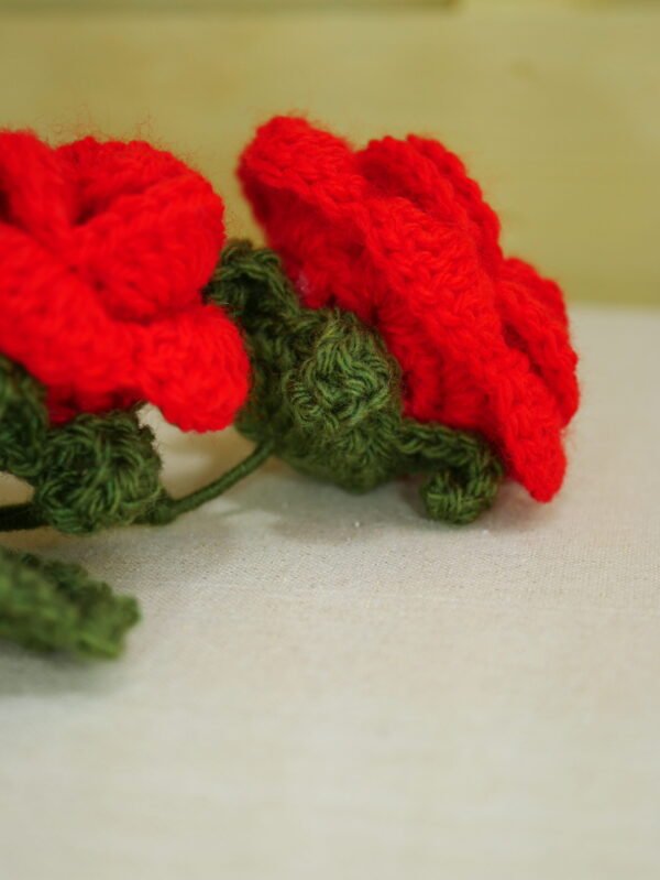 P1520589 Bouquet de 2 roses rouges éternelles – Flamboiement romantique