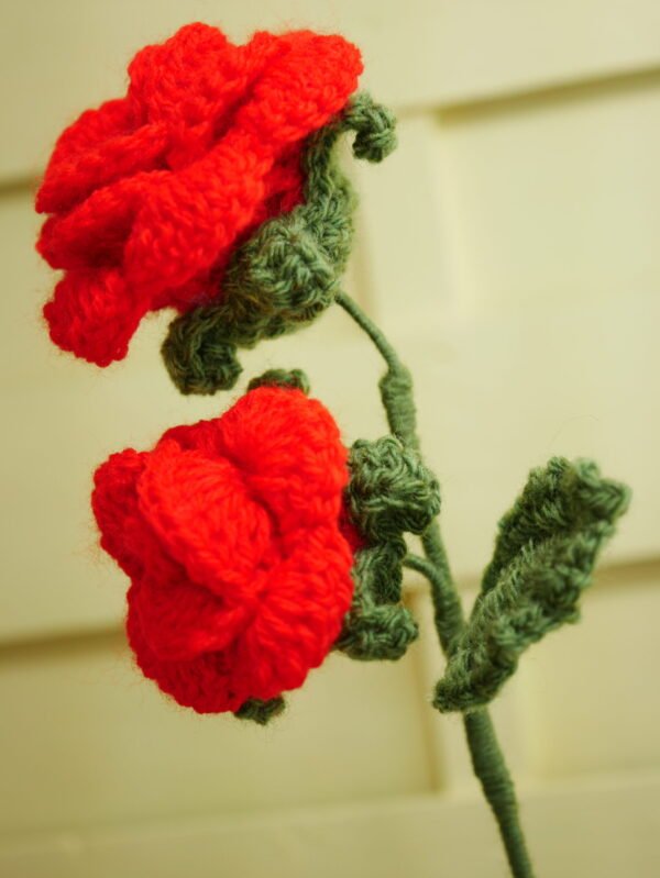 P1520593 Bouquet de 2 roses rouges éternelles – Flamboiement romantique