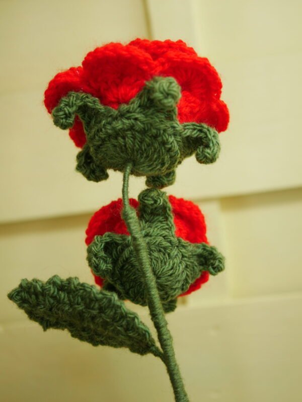 P1520594 Bouquet de 2 roses rouges éternelles – Flamboiement romantique