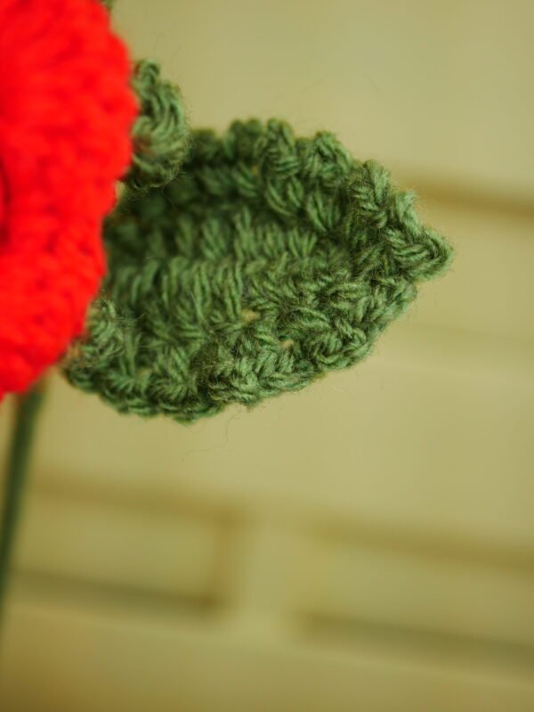 P1520595 Bouquet de 2 roses rouges éternelles – Flamboiement romantique