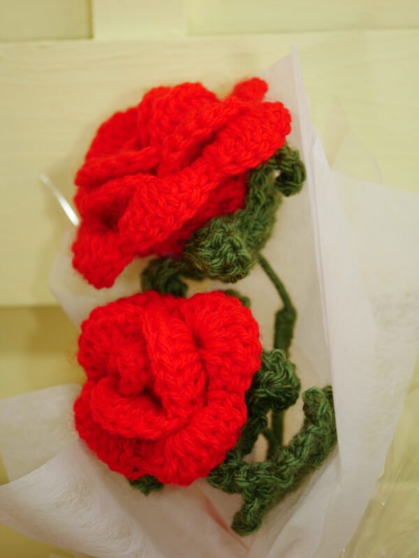 P1520634 Bouquet de 2 roses rouges éternelles – Flamboiement romantique