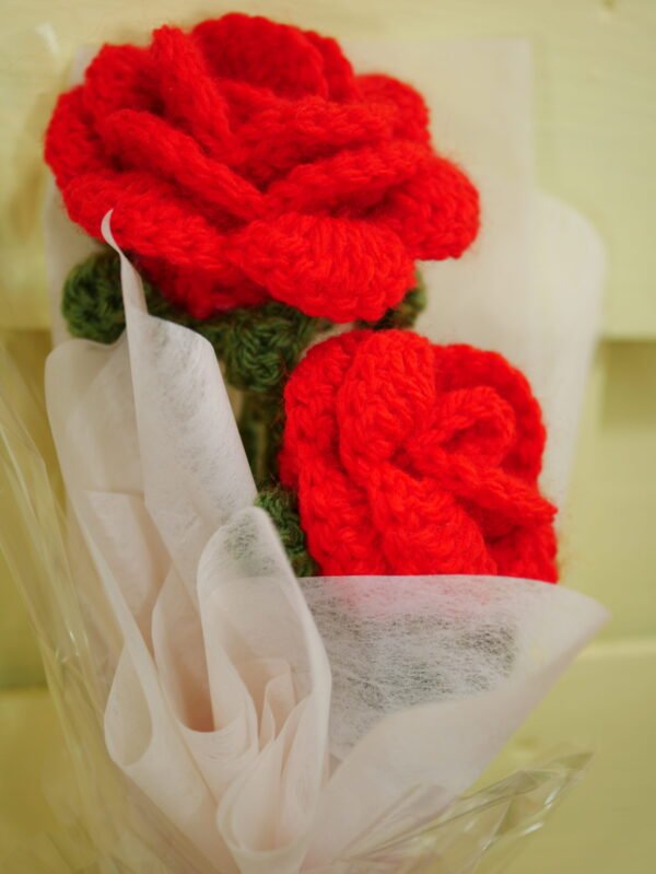 P1520638 Bouquet de 2 roses rouges éternelles – Flamboiement romantique