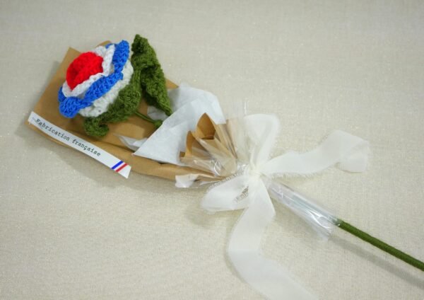 BBR 3 La tricolore hommage au drapeau français - cérémonies bleu blanc rouge