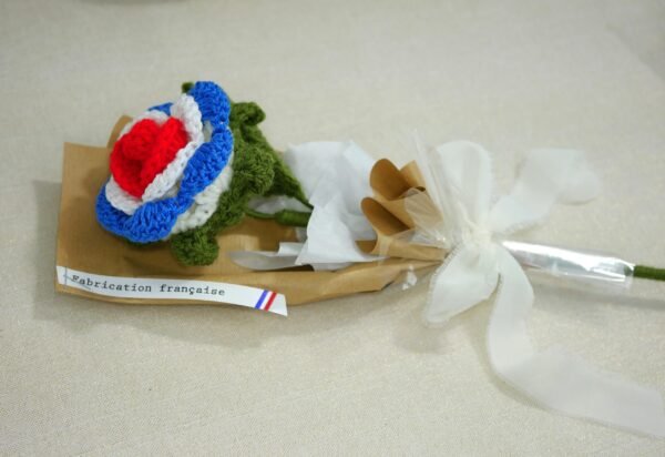 BBR 4 La tricolore hommage au drapeau français - cérémonies bleu blanc rouge