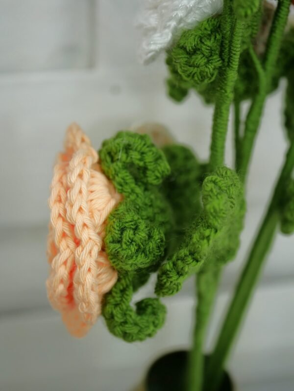 bouquet dune 20 Bouquet Tulipe et Roses – Côté Dune