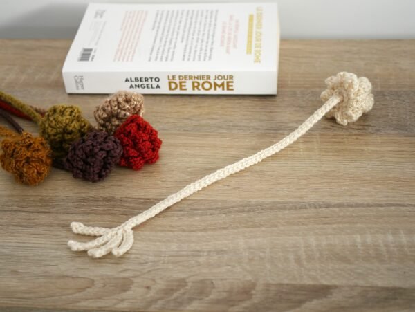 P1530723 Marque-page pomme de pin au crochet, cadeau artisanal pour lecteur