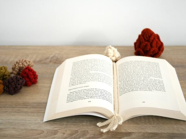 P1530728 Marque-page pomme de pin au crochet, cadeau artisanal pour lecteur