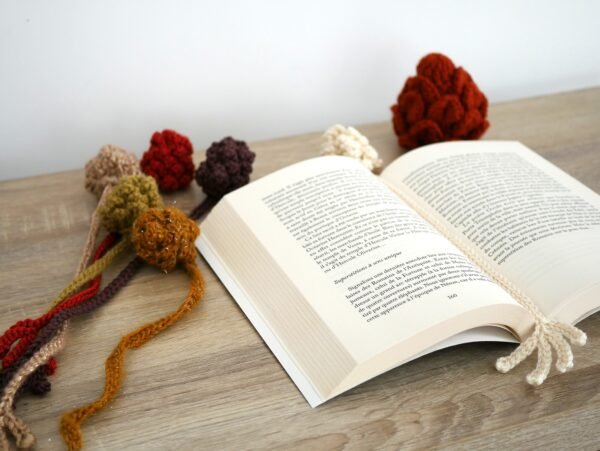 P1530732 Marque-page pomme de pin au crochet, cadeau artisanal pour lecteur